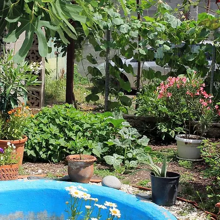 Πανσιόν Familien Meeresstern 2*